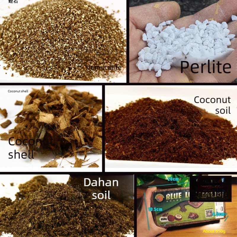 Sphagnum Moss Dry - ココナッツ土レンガ 爬虫類用床材 亀・ヤモリ・ヘビ用 vivarium 床材 湿度調整用ココナッツファイバー