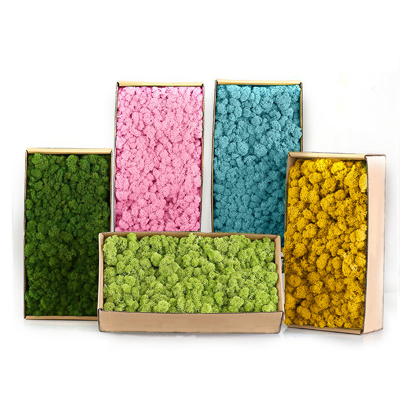 Sphagnum Moss Dry - 人工緑の植物ミニ風景永遠の生活苔草偽草 DIY 工芸品ホームリビングルームの庭の装飾