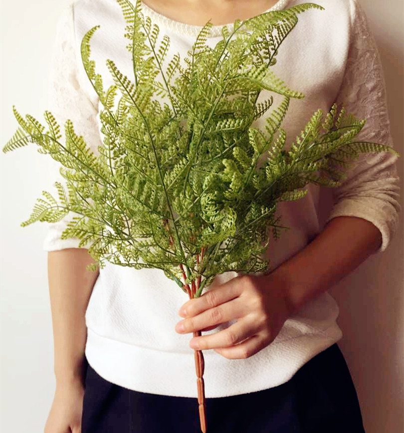緑の植物,偽物の植物,装飾のために - Sphagnum Moss Dry のレビューと価格