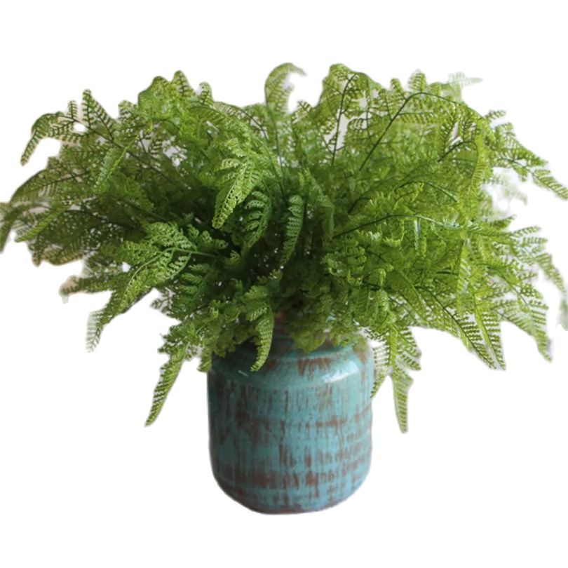 緑の植物,偽物の植物,装飾のために - Sphagnum Moss Dry のレビューと価格