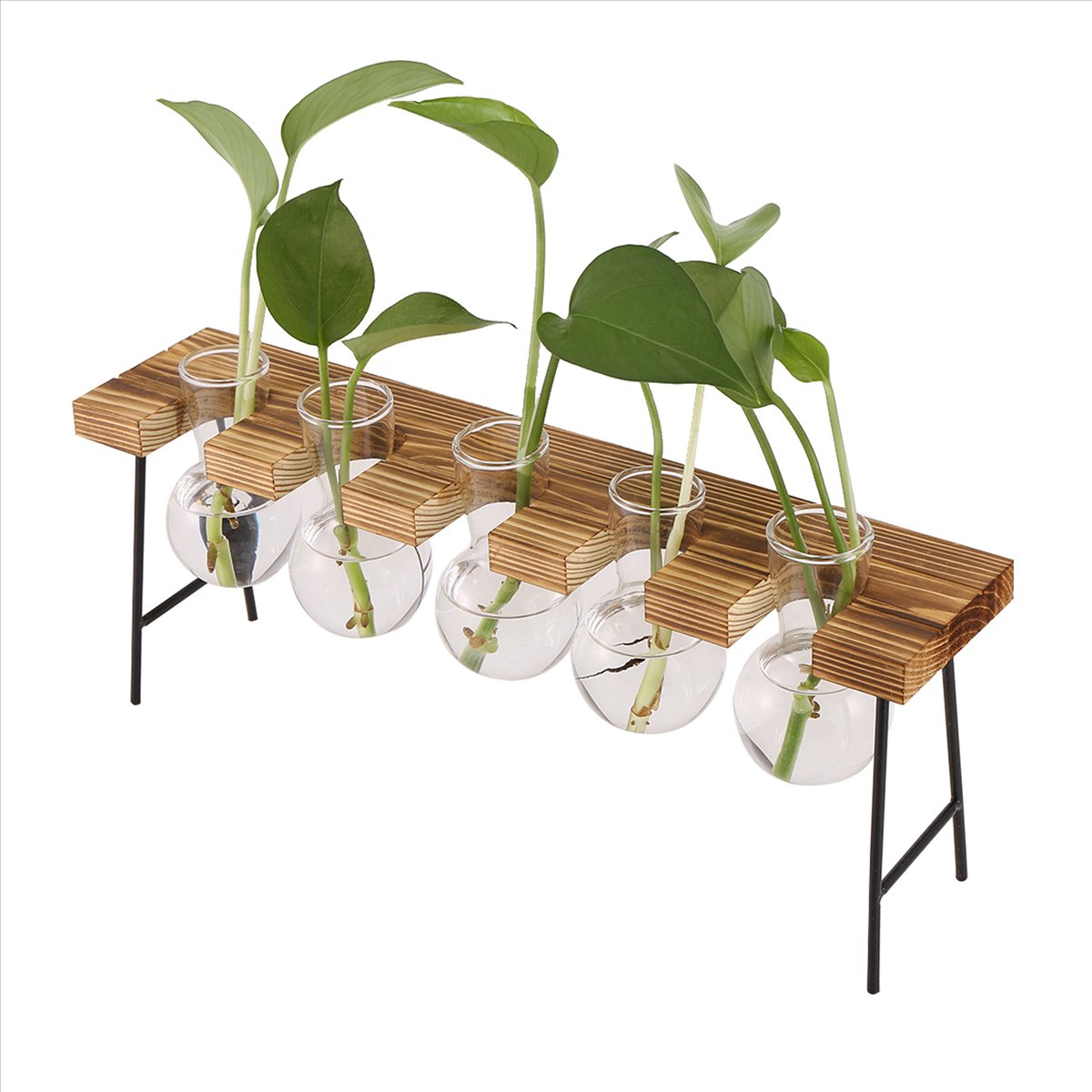 ABFSプロパゲーションステーション デスクトップエアプラン - Propagation Station Vase のレビューと価格