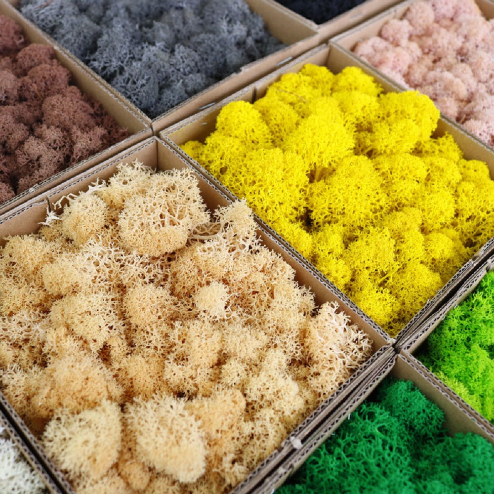 人工緑の植物ミニ風景永遠の生活苔草偽草 DIY 工芸品ホーム - Sphagnum Moss Dry のレビューと価格
